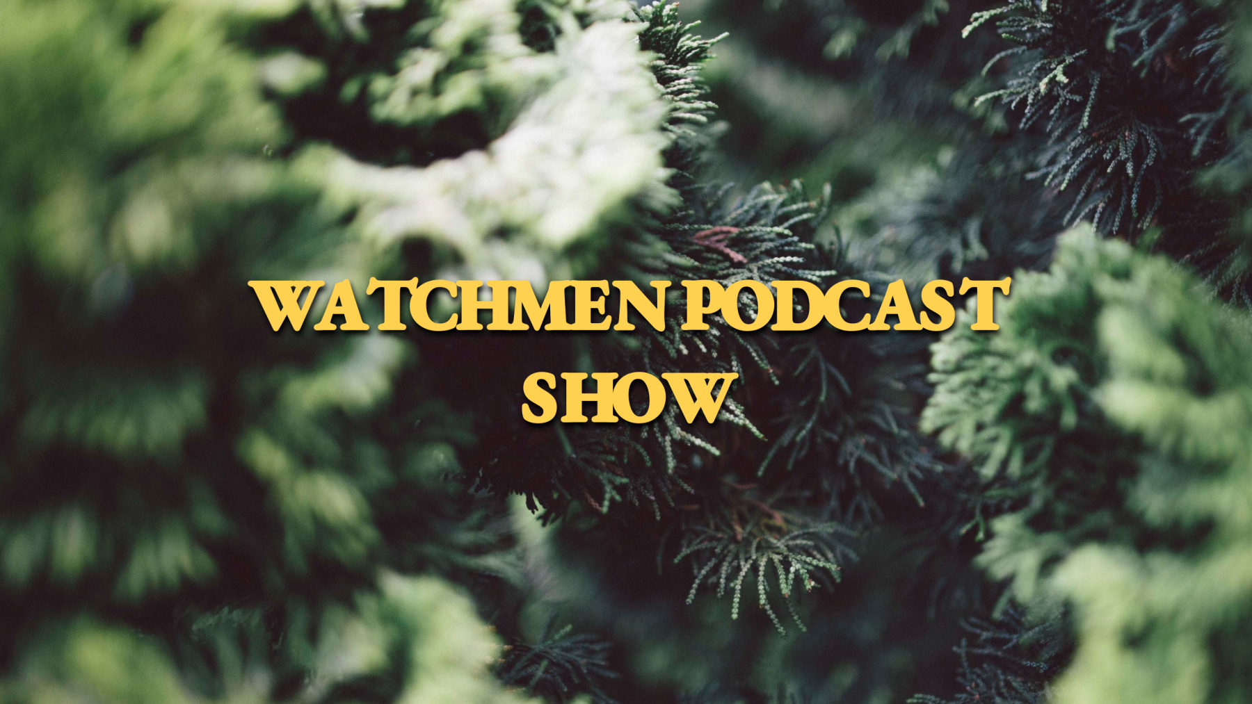 Watchmen podcast show banner