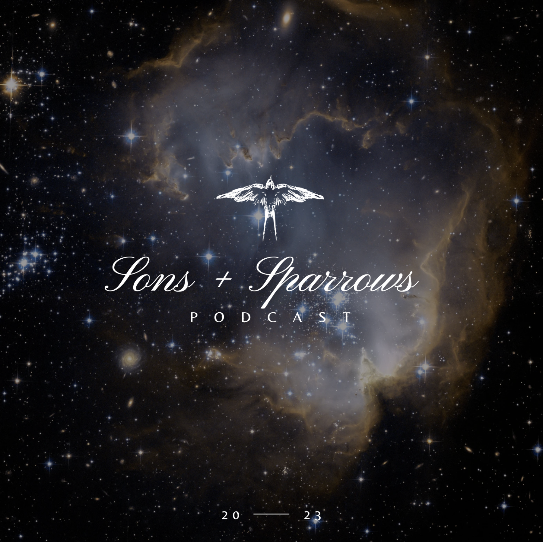 Sons & Sparrows Podcast banner