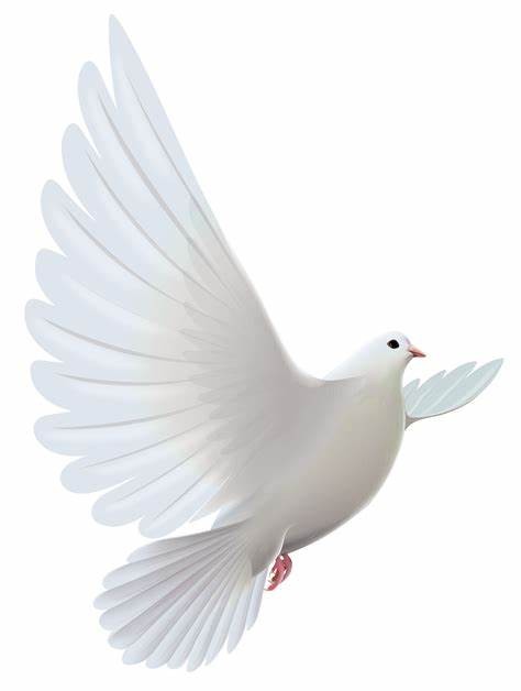 The Gathering Place Ministry, USA, International banner