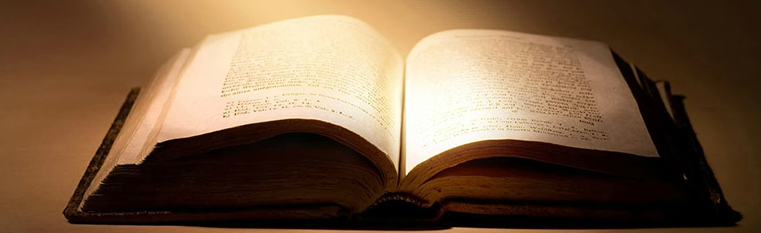 Homilies by Fr. James Farfaglia banner