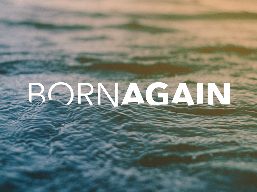 The Born Again Believer banner