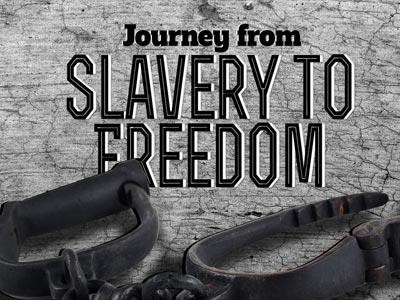Freedom/Libertad 