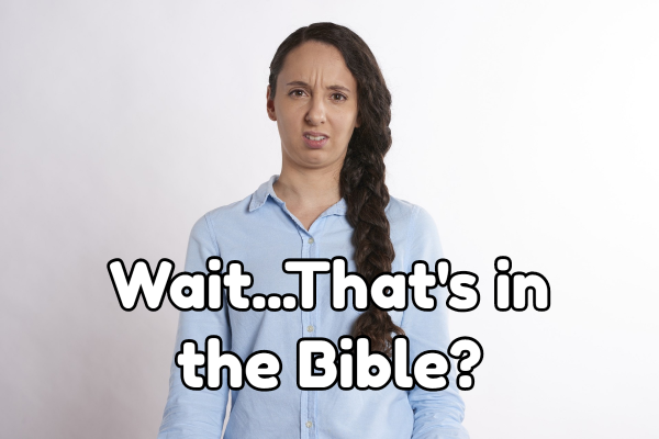 Wait...That's in the Bible?