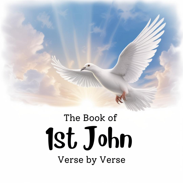 1st John Verse by Verse