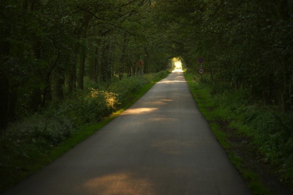 2022-07 Walking the Road