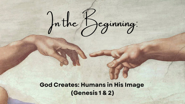 God Creates - Humanity in His Image
