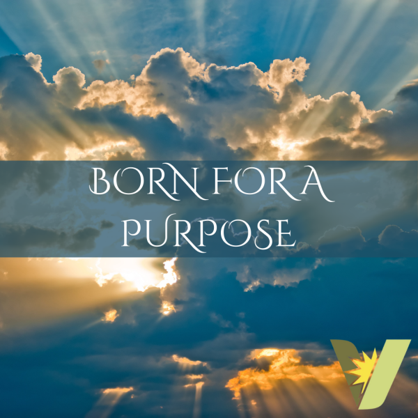 Born For a Purpose 8.3.2025