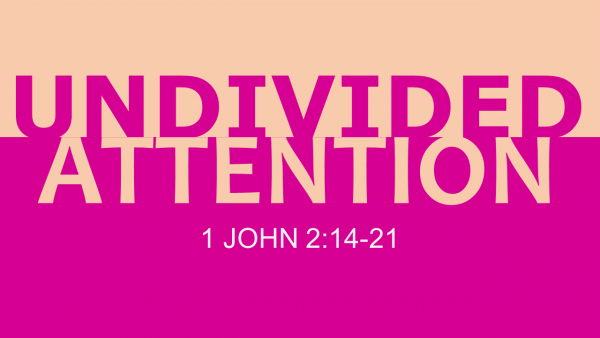 Undivided Attention