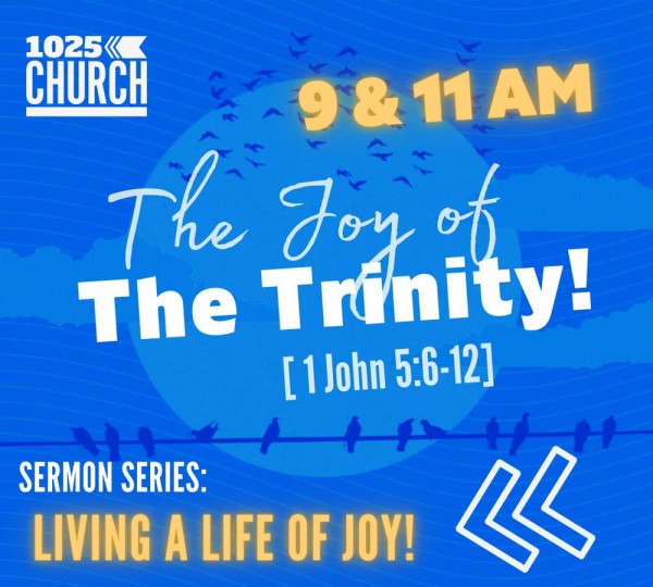 The Joy of the Trinity