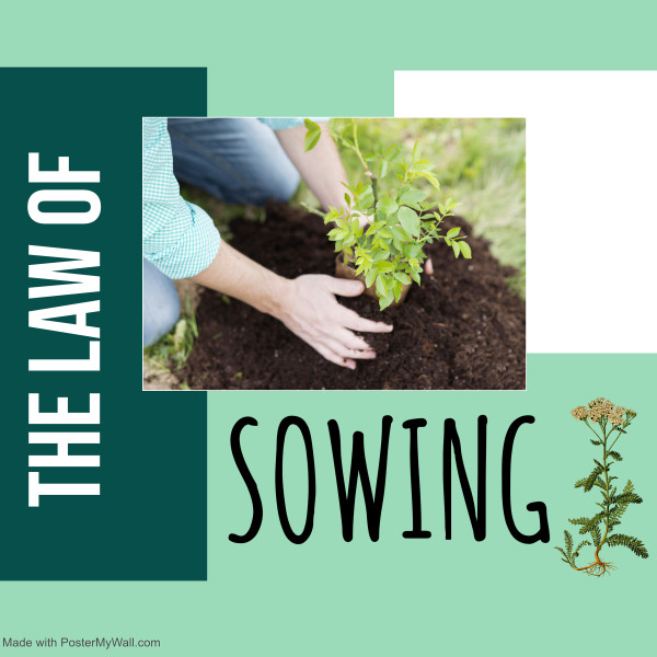 THE LAW OF SOWING