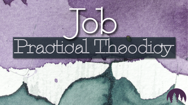 The Book of Job:  Practical Theodicy – Job’s Friends