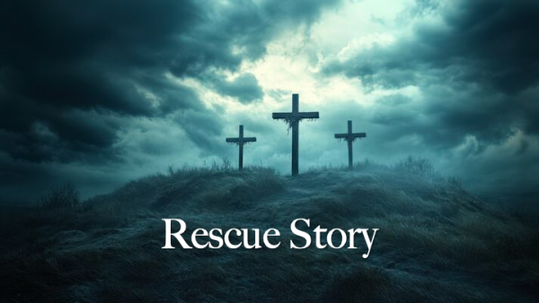 Rescue Story