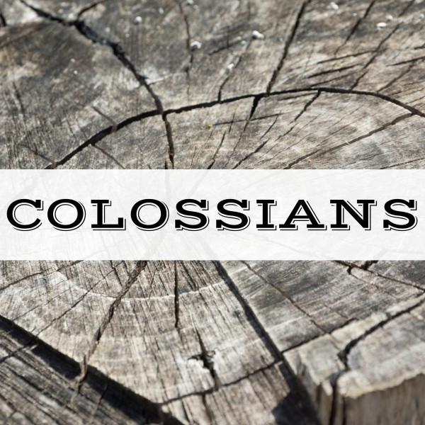 Pastor Ray Sermon PHOP-1.29.17- Colossians
