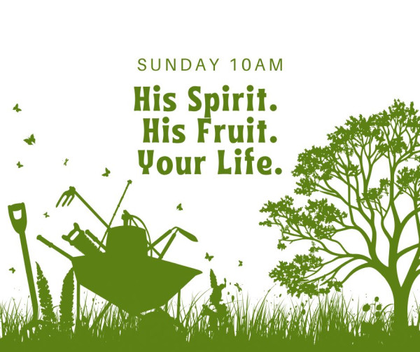 His Spirit, His Fruit - JOY