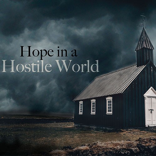GYM & CHAPEL SERVICES: Hope in a Hostile World   "Bricks, Butterlies, and Big ol' Nails. 1 Peter 2"