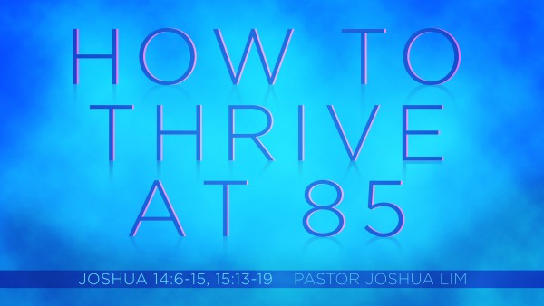 How to Thrive at 85 | Joshua 14:6-15, 15:13-19