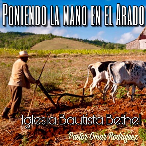 Poniendo La Mano En El Arado