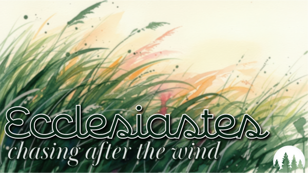 Ecclesiastes - Chasing After the Wind  Chapter 4