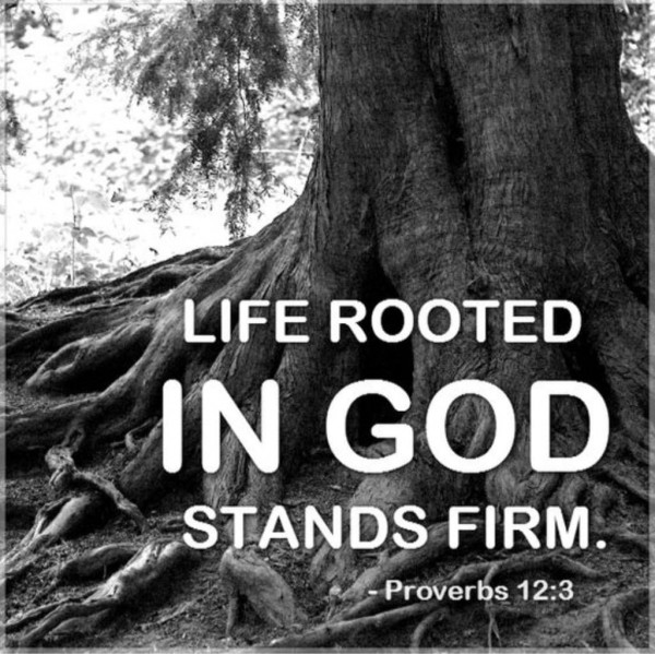 Know That You Have Purpose