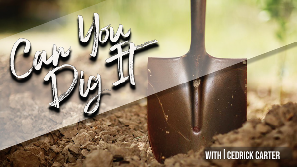 Can you Dig It? 