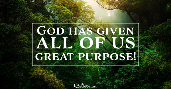 His Determined Purpose