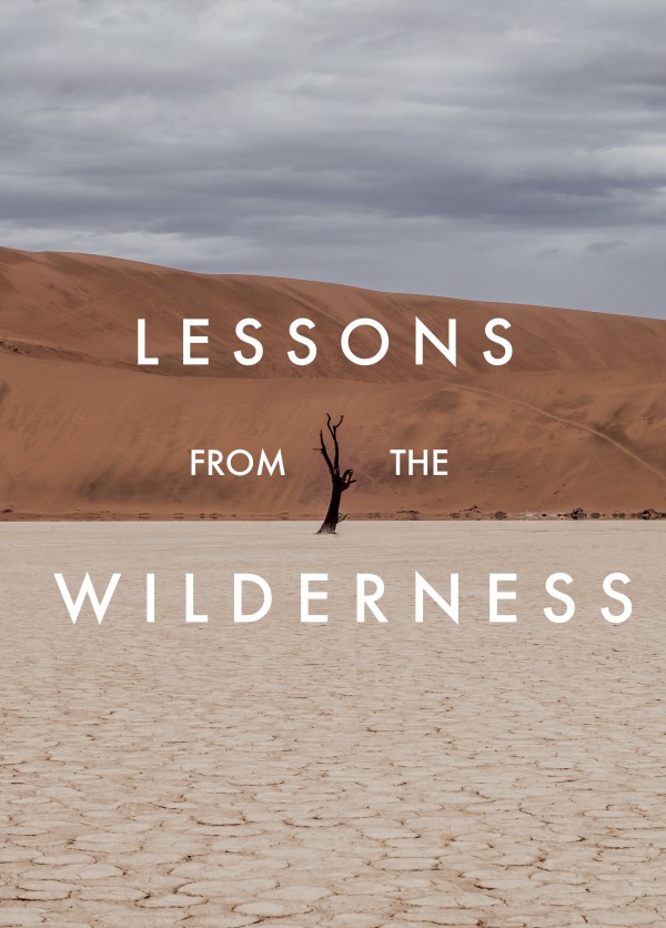 Into the Wilderness