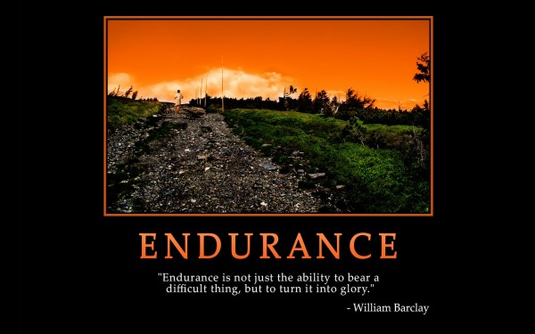 Endurance (This Too Shall Pass)