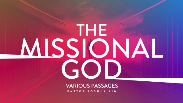 The Missional God