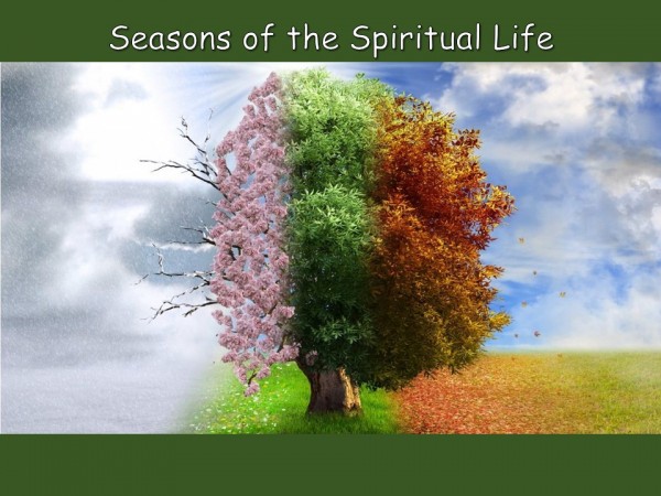 Fall Fruitfulness