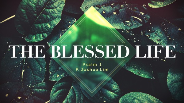 The Blessed Life