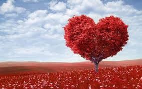 Love Overflowing