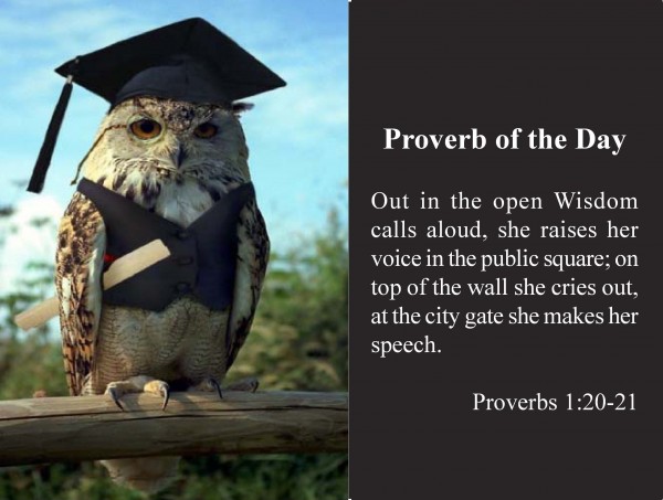 Wisdom Shouts in the Streets Proverbs 1 20-33