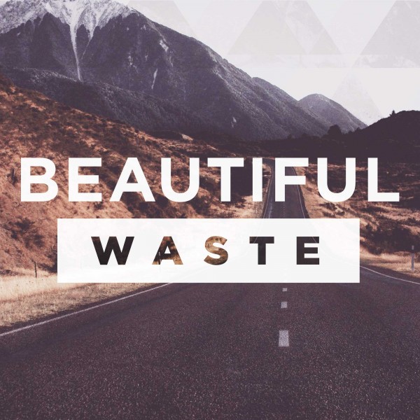 Beautiful Waste
