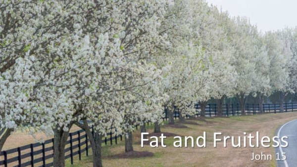 Fat and Fruitless