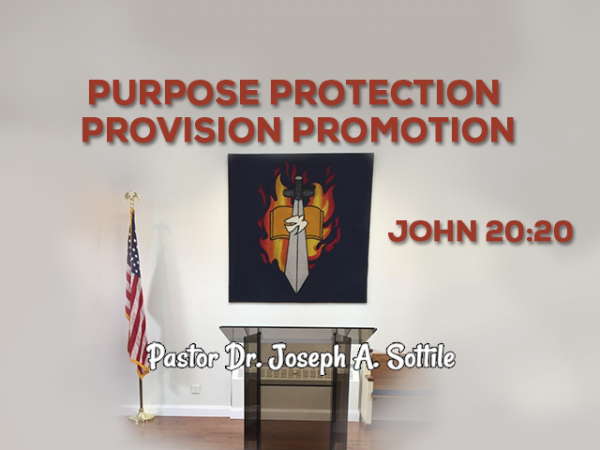 Purpose Protection Provision Promotion - June 24, 2020