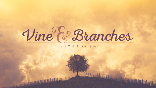 Vine and Branches