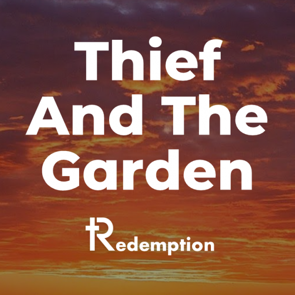The Thief and The Garden