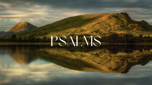 Sermon: Psalm 111