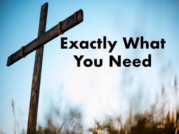 Exactly What You Need