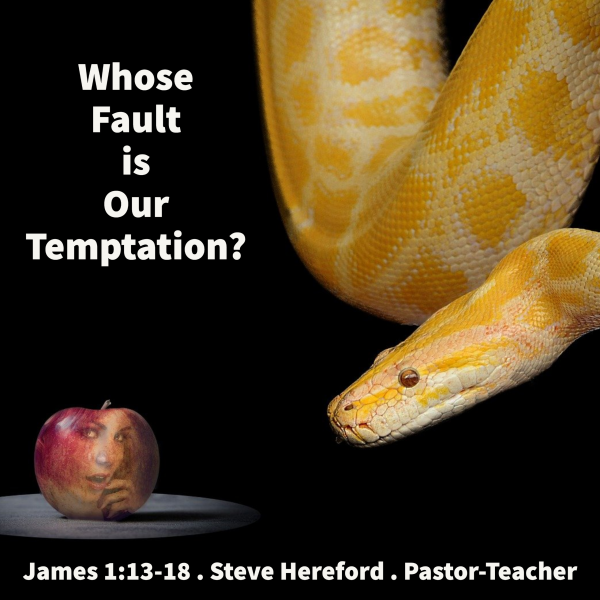 Whose Fault is Our Temptation?