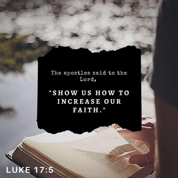 " Show us how to increase our faith." - Jan 3rd, 2021 