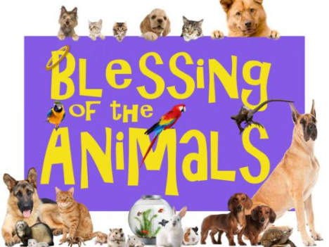 Animal Blessing Sunday: Let the Animals Teach Us