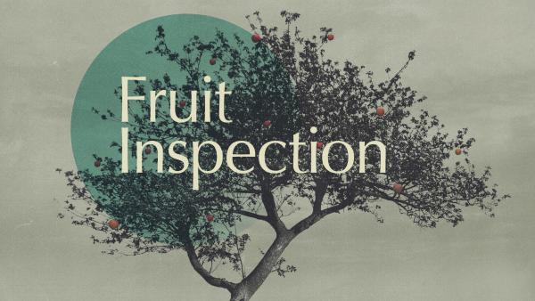 Fruit Inspection