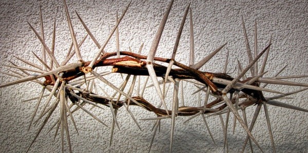Holy Week - Holy Crown - Crown of Thorns Foreshadowed in Torah