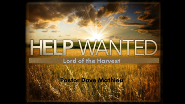 Help Wanted - Lord of the Harvest