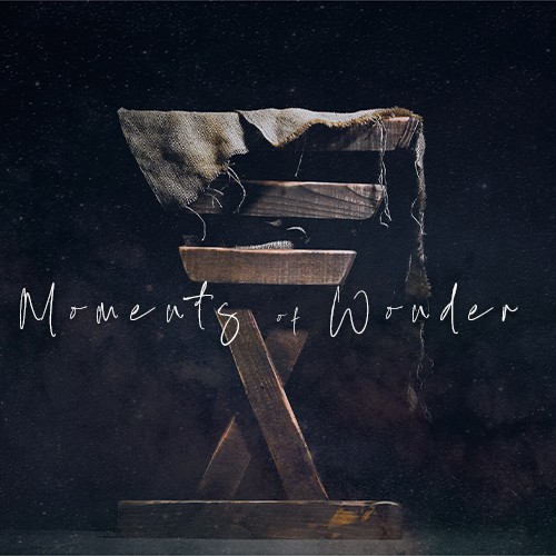 Gym and Crossing Services/ Moments of Wonder "Wonder of Creation" 12.5 2021-