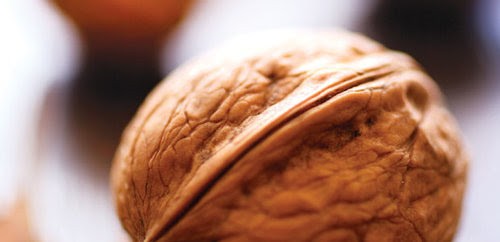In a Nutshell - January 27, 2019 - Jim Keck - Sermon