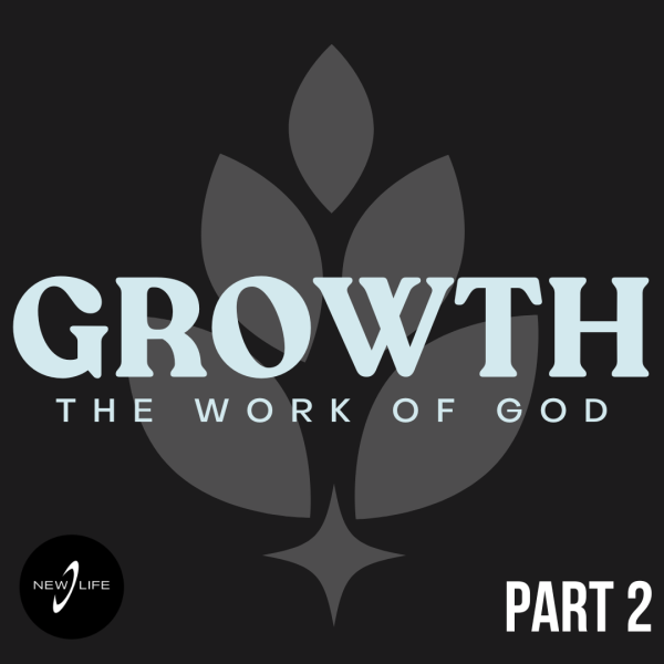 Rooted: How Spiritual Growth Happens in Christian Community