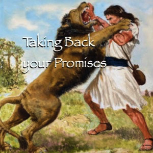 Taking Back Your Promises