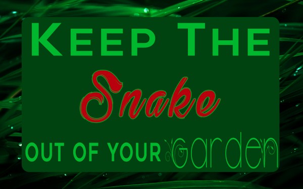 Keep The Snake Out Of Your Garden (Pastor Kenny Smith)